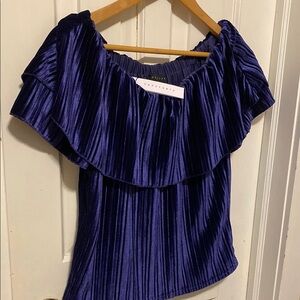 NEW Sanctuary Royal Purple Off-Shoulder Velvet Top Cap Sleeve Ruffled Romantic